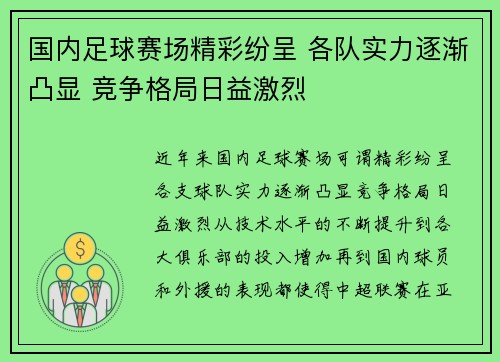 国内足球赛场精彩纷呈 各队实力逐渐凸显 竞争格局日益激烈