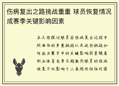 伤病复出之路挑战重重 球员恢复情况成赛季关键影响因素